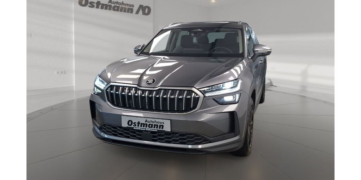 Skoda Kodiaq 7.900 km 46.489 &euro; Wolfhagen 34466