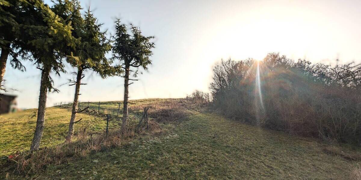 Grundstück Calden Obermeiser - 99.000&euro; | Angebot:25996249