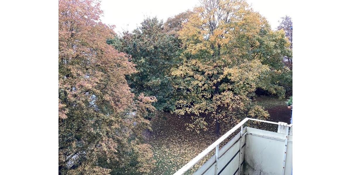 Familienfreundliche 3-Zimmer-Wohnung in guter Wohnlage 3 zimmer