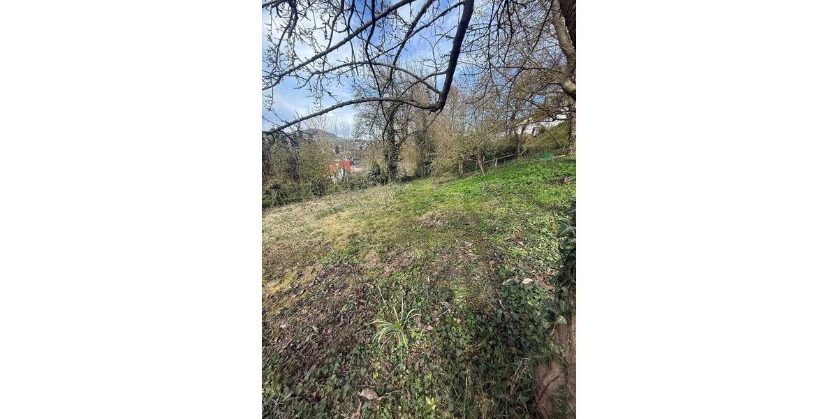 Grundstück Naumburg - 50.000&euro; | Angebot:26458392
