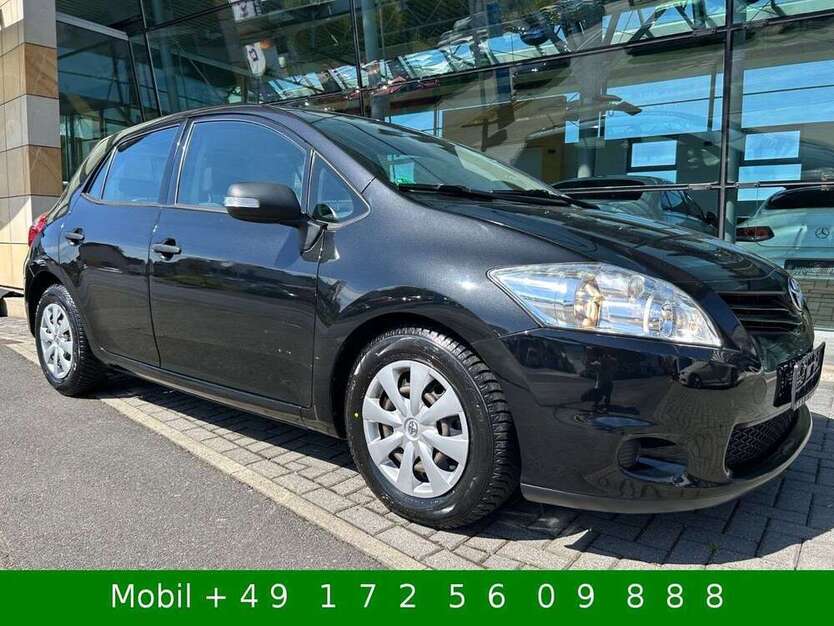 Auris