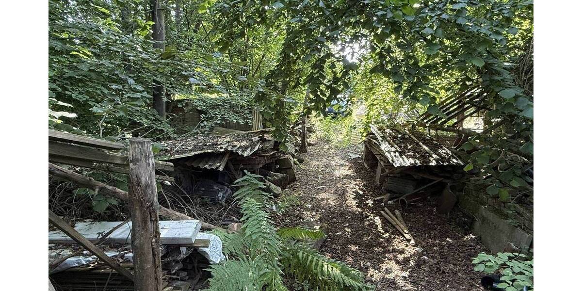 Baugrundstück mit 1200 m² in Neumorschen zimmer