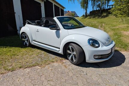 VW Beetle