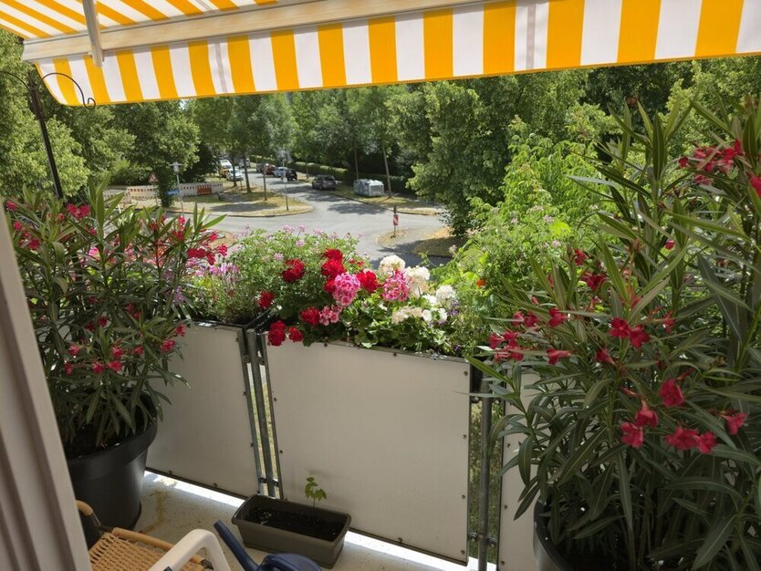 Kassel, vord. Westen, 3 ZKB, 64m² mit Wohnrecht!