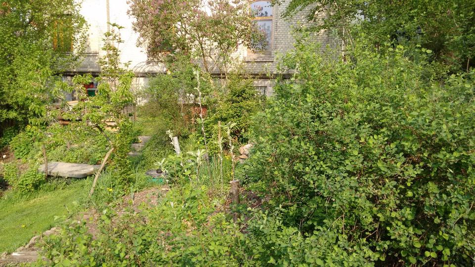 Dachgeschoßwohnung Kassel Fasanenhof - 1 Zimmer, 20 m&sup2;, 300&euro; | Angebot:26227377